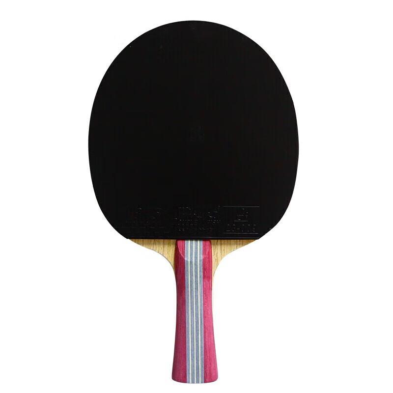 DOUBLE FISH 1-stjärnig Nybörjar Handflata Table Tennisracket Set