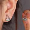 Wish Watermelon Fruit Stud Earrings Simple Personality Niche Light Luxury Elegant Stud Earrings