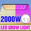 Latest Growing Lamps Led Full Spectrum Plant Bulb Greenhouse Indoor Plant Grow Light EU/AU/UK/US Plug Multiple Colors Available
