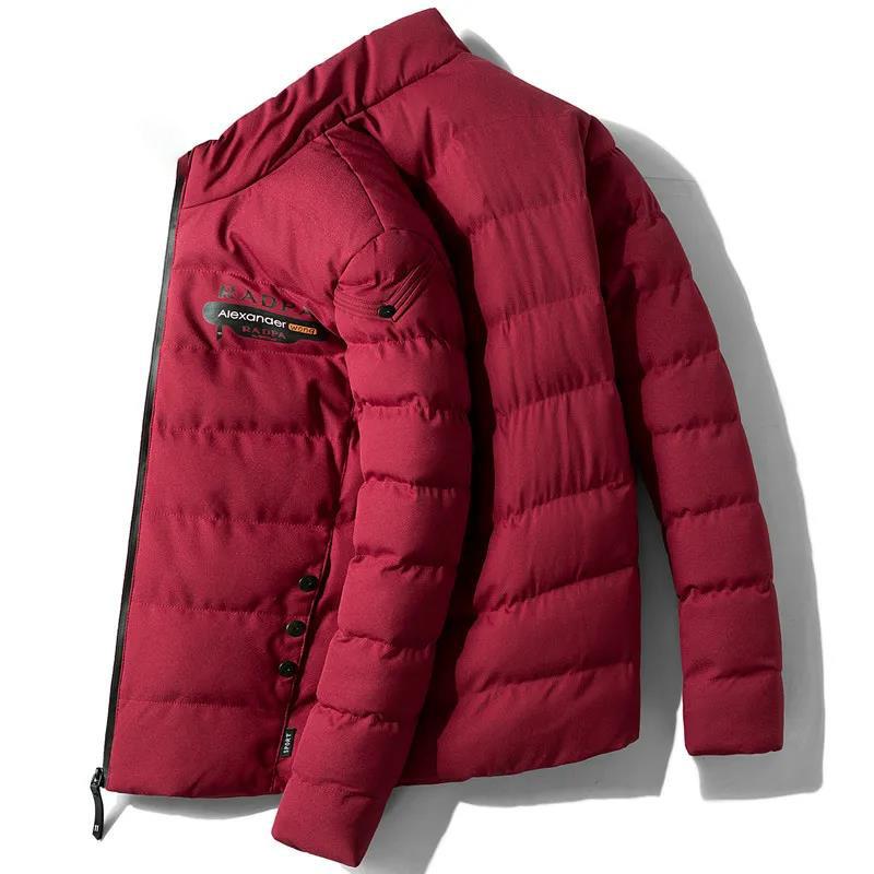 Men's Stand-up Collar Down Jacket Short Winter Thick Warm Cotton Jacket Men's Casual Top Chest Label Solid Color All-match Zipper Coat