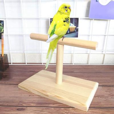Pájaros – Juguetes para pájaros