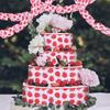 Red And Black Polka Dot Ladybug Ribbon Spring And Summer Creative Ladybug Ribbon Packaging Tape Atmosphere Layout Supplies