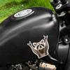 1pc Rock Raccoon Motorcycle Stickers Waterproof for Motorcycle Fairings Fuel Tanks Car Windows Scooters Universal Vinyl Decals