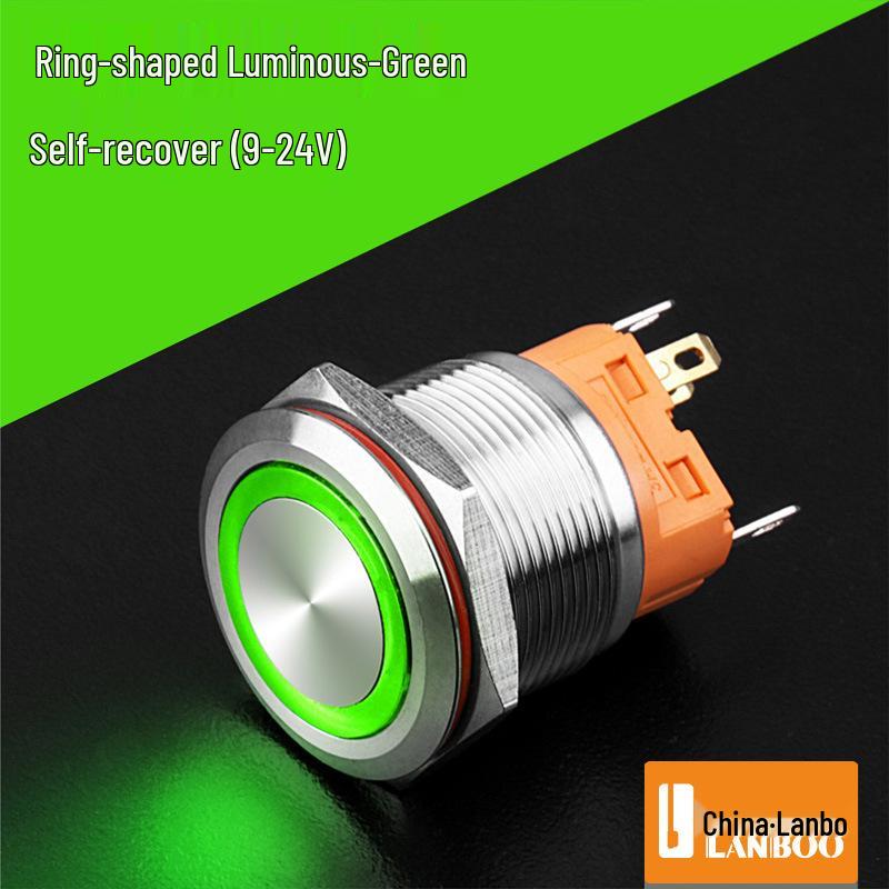 Lanbo 22A Stainless Steel Illuminated Self-Locking Momentary Push Button Elevator Switch