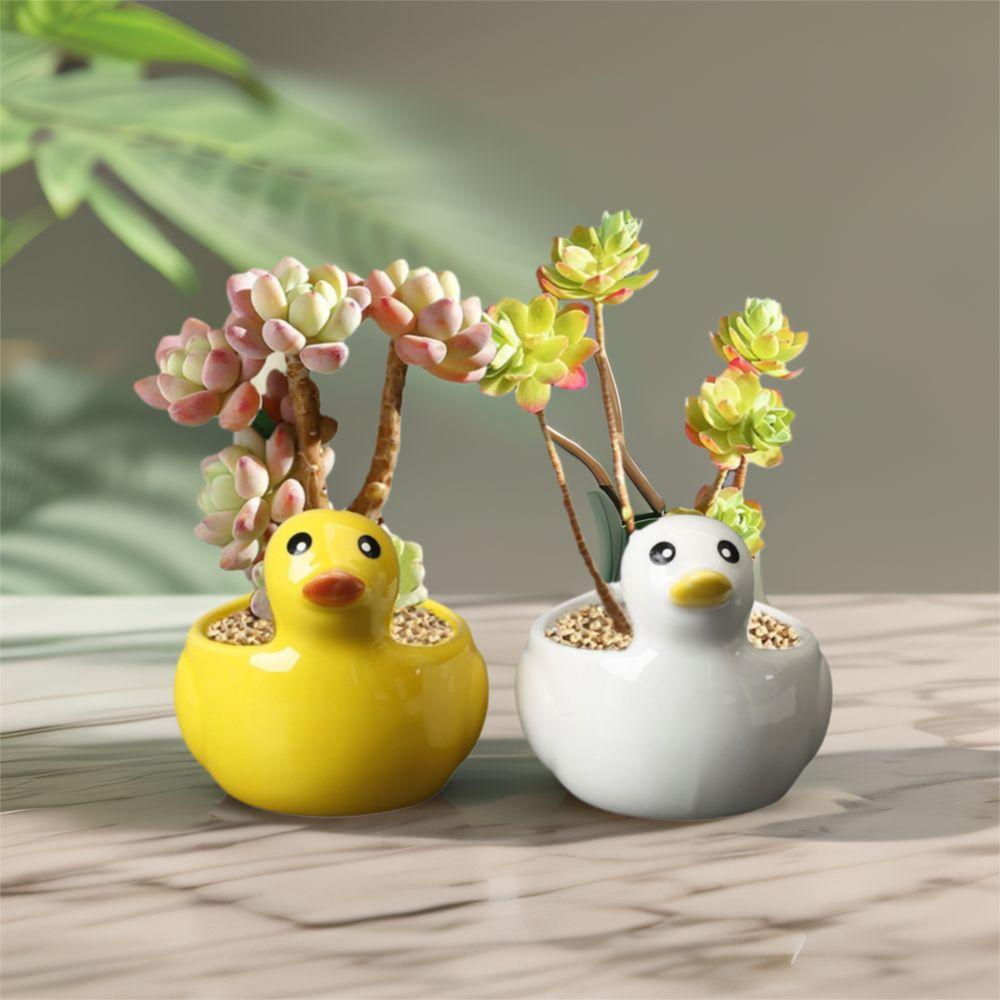 Handicraft Duck Ceramic Flower Pot Creative Animal Ornament Vase Succulent Plant Flowerpot  Balcony