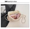 2025 Autumn/Winter Plush Tassel Antler Crossbody Shoulder Bag - Versatile Small Square Fashion Handbag
