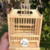 Exquisite Large Bamboo Grasshopper Cage with Free Accessories and Shipping, Damage Included