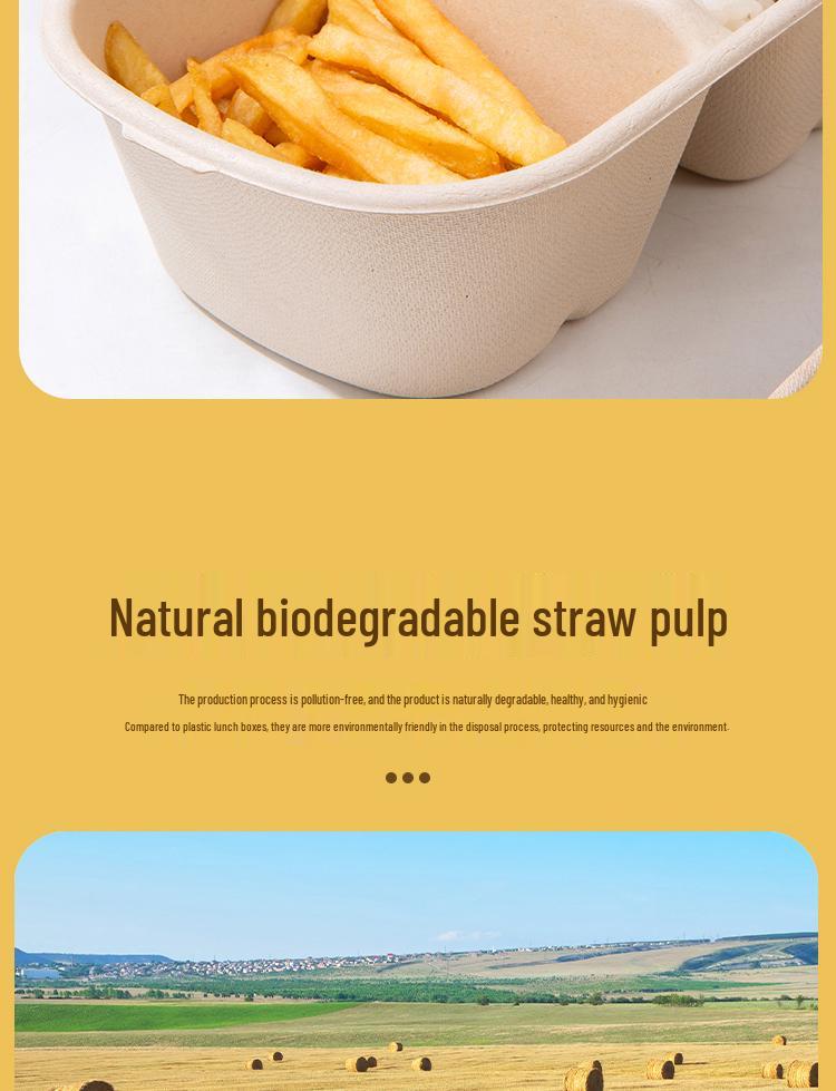 Eco-friendly Three-Compartment Disposable Bento Box – Microwaveable Paper Lunch Container for Salads and Light Meals