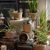 1Pcs Rattan Straw Grass Woven Flowerpot For Garden Terraces Woven Plant Flower Basket
