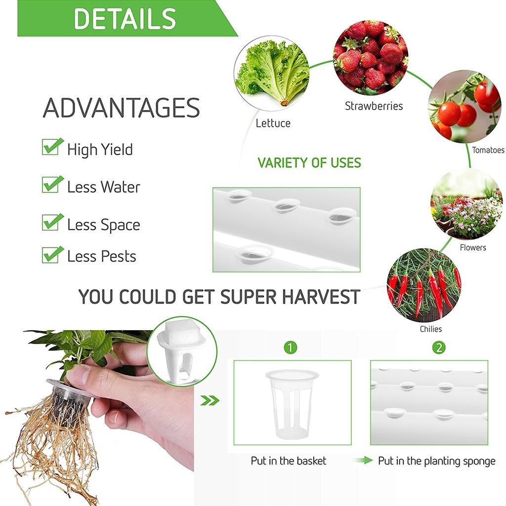 110-220V 54 Holes Hydroponic Piping Site Grow Kit Deep Water Culture Planting Box Gardening System Nursery Pot Hydroponic Rack