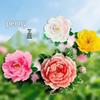 Luoyang Peony 3D Magnet - City Souvenir Gift