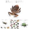 Detailed Pvc Insect Figurine Collection Including Butterflies Ants Beetles Spiders And Roaches For Home Decor