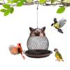 Wild Bird Feeder Vintage Cat Style with Baffle Easy Fill Spacious Standing Space