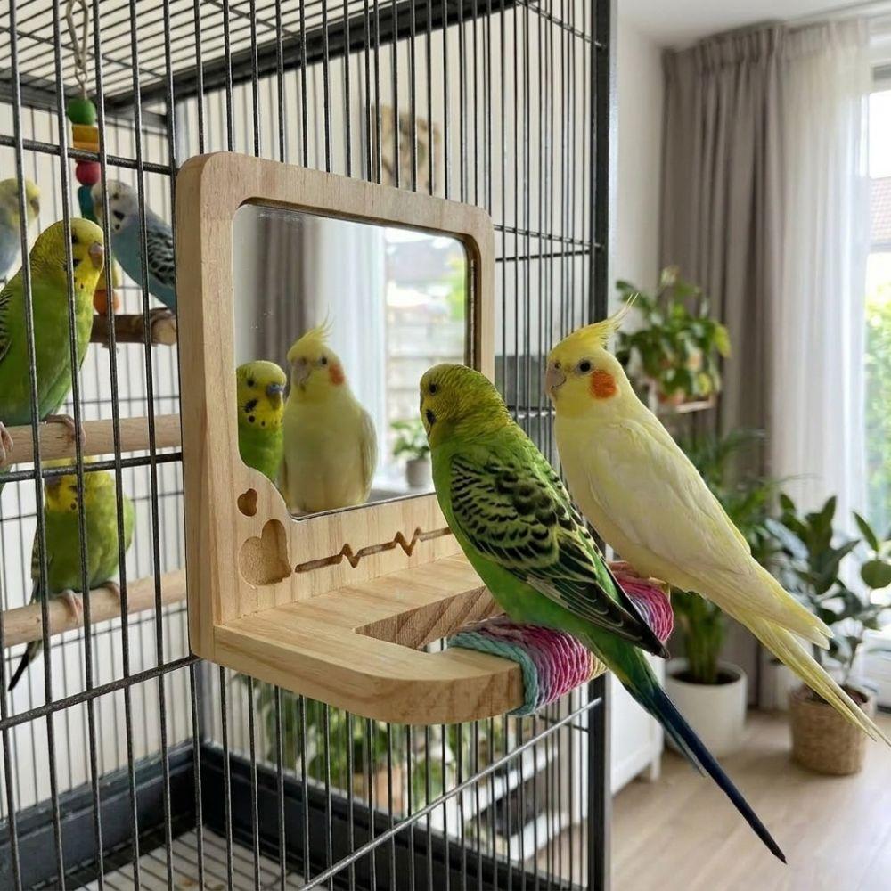 Wear Resistant Bird Perch with Mirror Bite Resistant Interactive Parrot Biting Rod for Small Birds