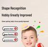 Montessori Color & Shape Recognition Building Blocks for Toddlers