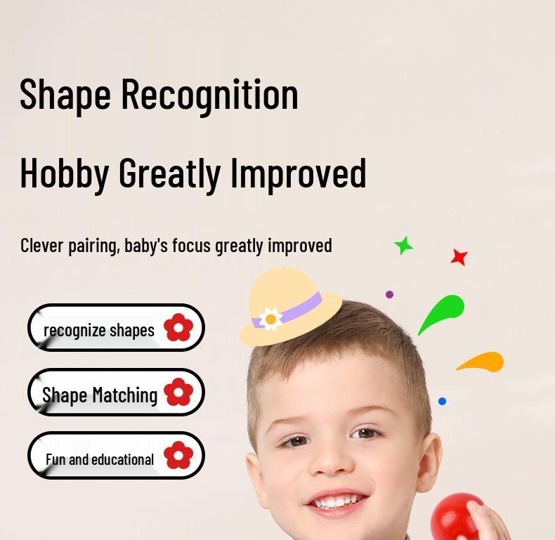 Montessori Color & Shape Recognition Building Blocks for Toddlers