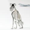 Dog Skeleton Statue Halloween Dog Bones Skull Scary Sitting Dog Skeleton Statue Spooky Skeleton Animals Decor for Home Gathering