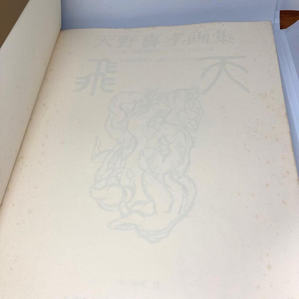 [USED] Yoshitaka Amano Hiten and Maten Art Book Set of 2