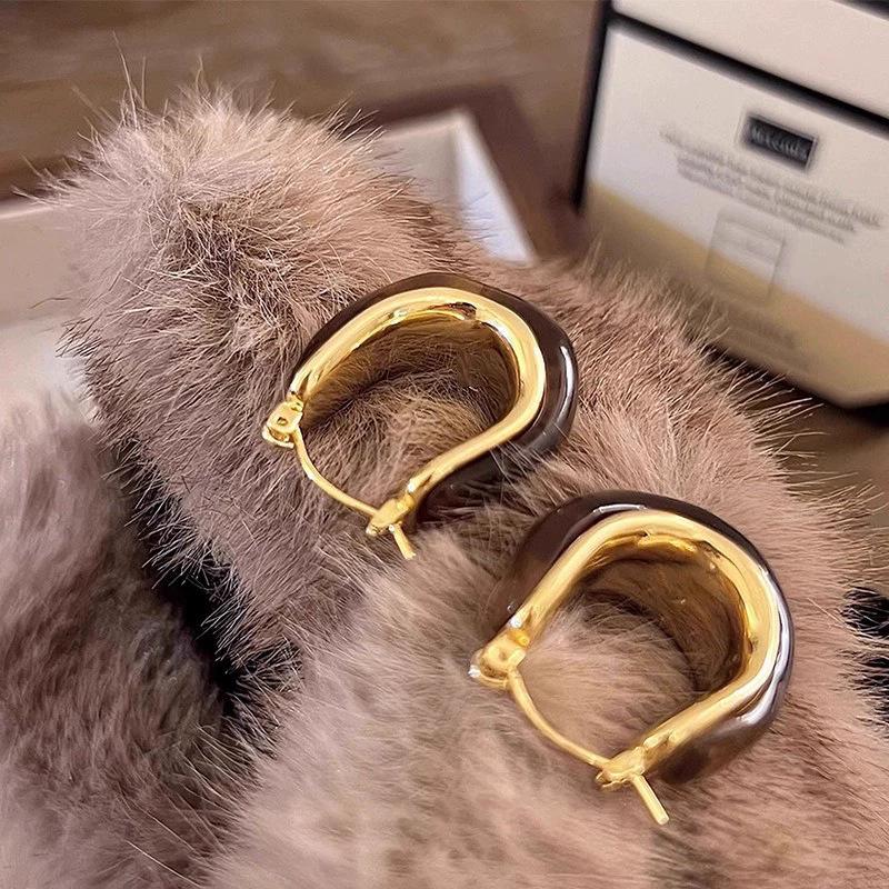 Autumn and Winter Maillard Amber Earrings Women's Niche Design High-end Ear Buckles Unique Temperament Versatile Earrings