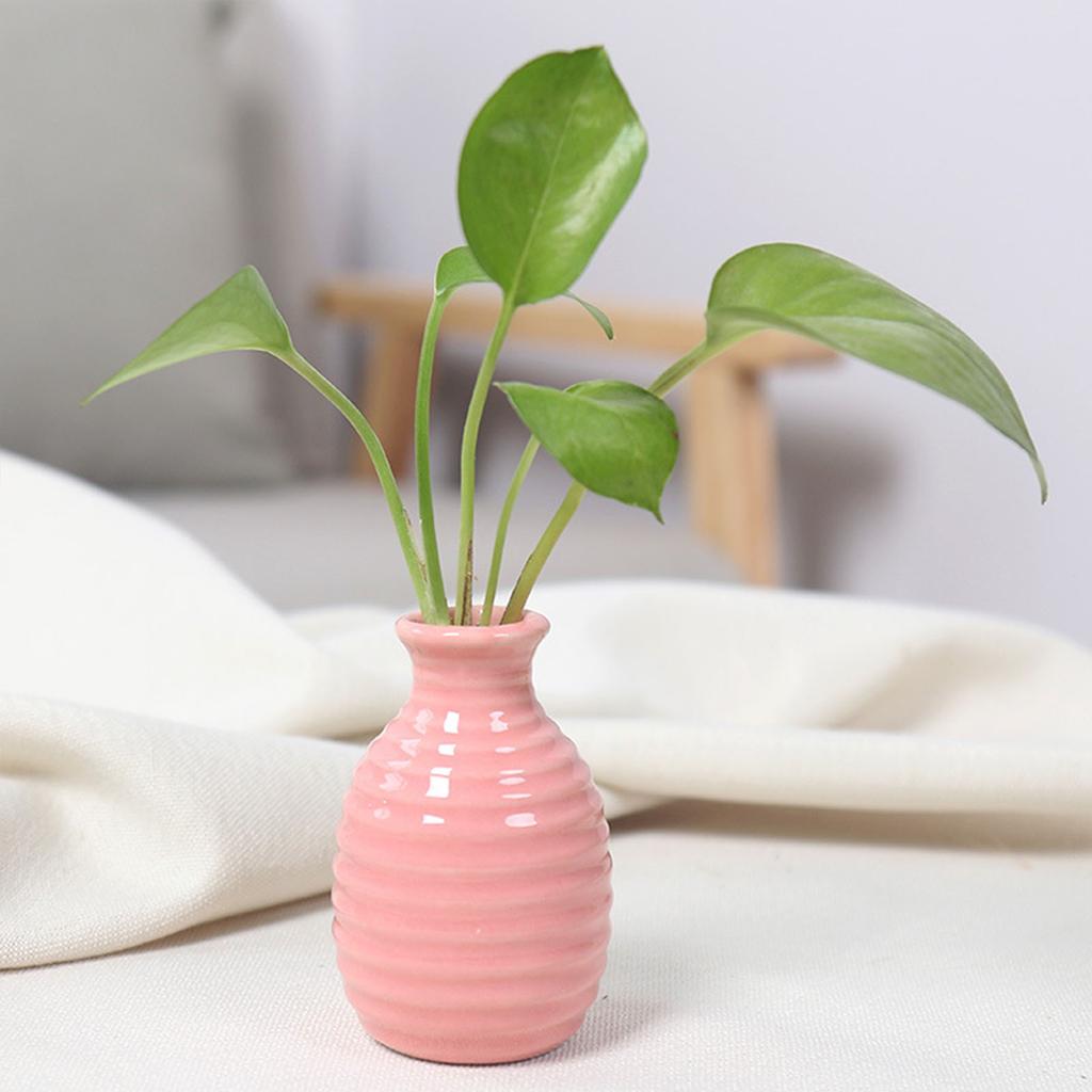 Desktop Plant Hydroponic Vase Simple Style Tabletop Ceramic Vase for Living Room Bedroom Ornaments Garden Small Flowerpot