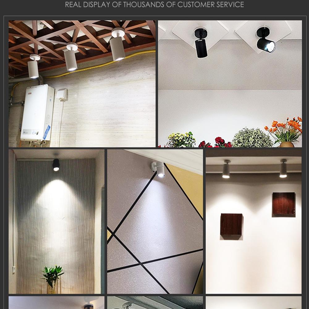 Surface Mounted Ceiling COB LED Light 20W 220V Downlight Adjustable Spotlight For Background Wall Photo Wall Art Exhibition