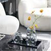 Irregular Transparent Glass Vase, Creative Spherical Art Flower Arrangement, Hydroponic Vase, Glass Container, Home Decoration