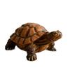 Handcrafted Turtles Ornament Detailed Design Realistic Tortoise Statue For Outdoor Garden Patios Decors Weather Resistant