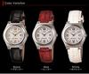 LWQ-10LJ-4A2JF wave ceptor solar ladies