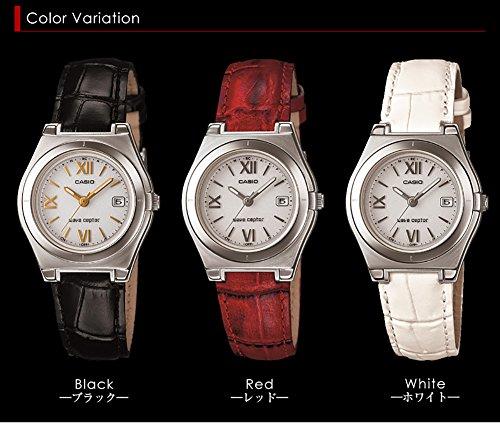 LWQ-10LJ-4A2JF wave ceptor solar ladies