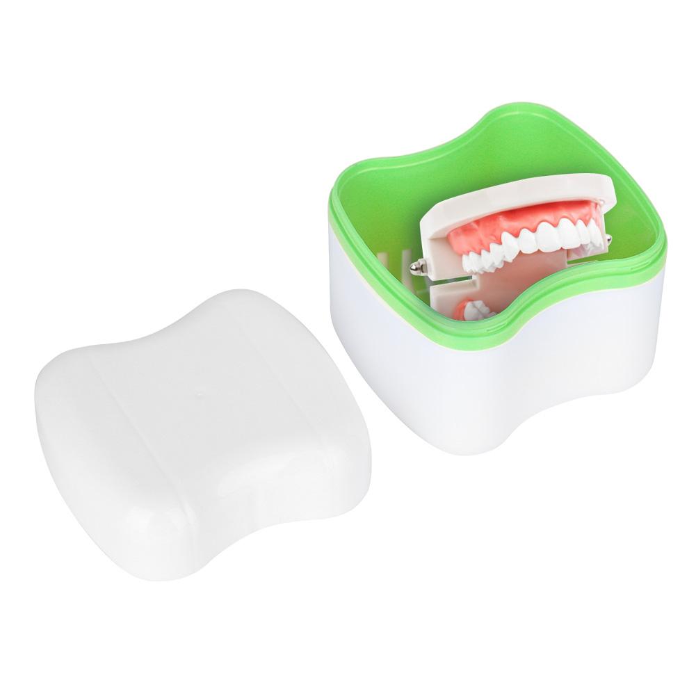 Denture False Teeth Storage Box Case With Filter Screen Dental Appliance(Green)