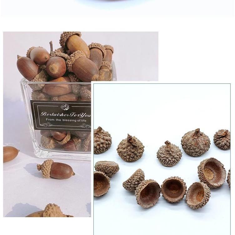 1pcs Acorn shells, handmade DIY materials, shooting props, dried flower fruit shells, acorn hats, Christmas wreath decorations, pendants, acorns
