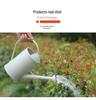 Long-Spout Plastic Watering Can, Imitation Tinplate, for Flowers, Plants, and Vegetables