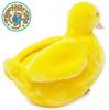 TigerTaleToys Duck Plush Toy, 30cm, Large, Cute, Soft, and Fluffy Pet Duckling [Official Japanese Product]