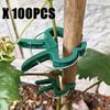 20/50/100pcs High-quality Reusable Grapevine, Vegetable and Tomato Planting Support frame|Adjustable Plant Clamps Plant Support