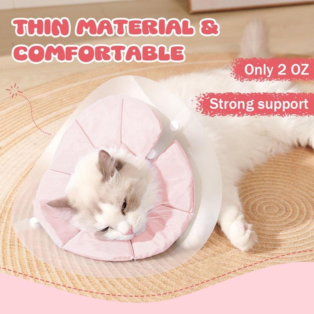 Double-layer PVC Pet Cone Collar Anti-licking Wound Recovery Headband Soft Kitten Neck Cone  Beauty