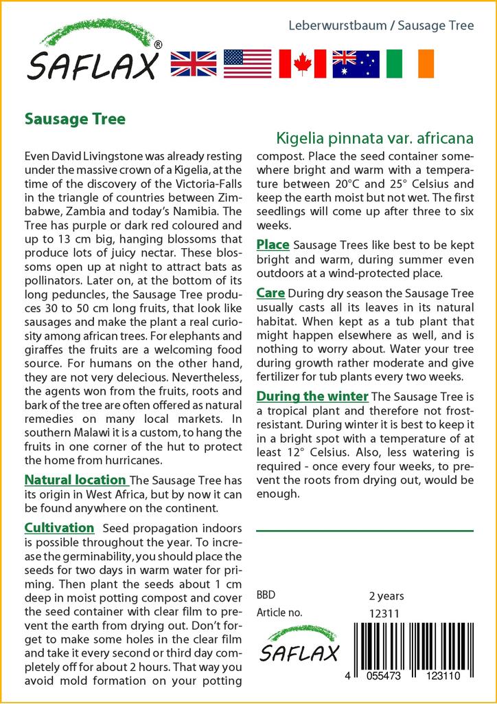 SAFLAX Sausage Tree - 10 Seeds - Kigelia Pinnata