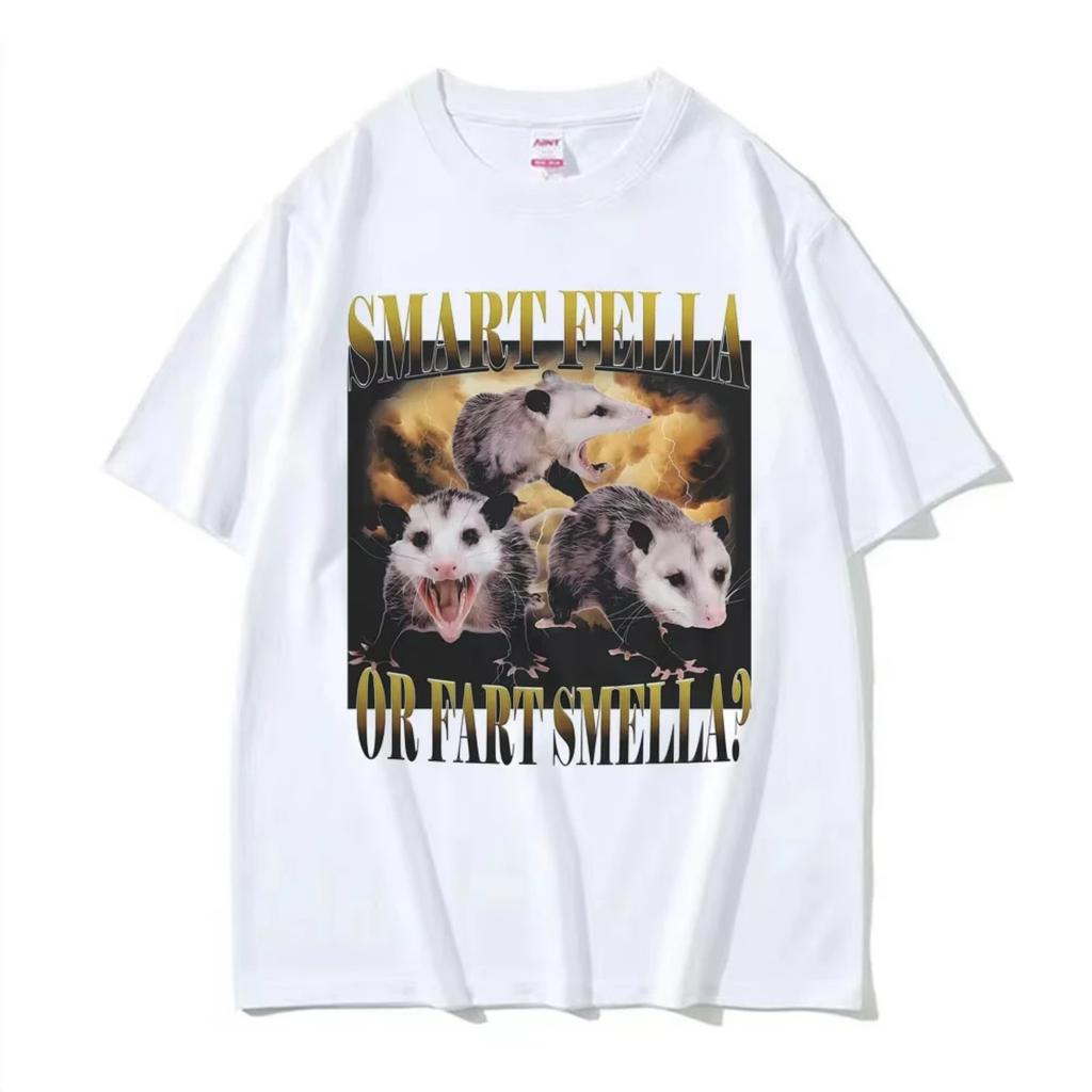 Funny Possum Meme Smart Fella or Fart Smella_ T Shirt Men's Women Fashion Hot Sale Casual O-Neck T-shirts Short Sleeve Tee Shirt