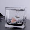 Peixes e animais aquáticos – Decoração de aquário