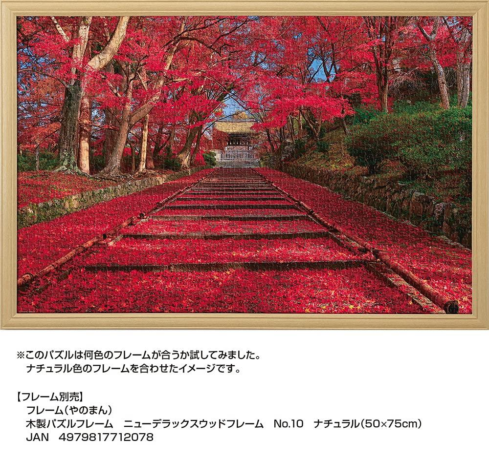 1000-piece Jigsaw Puzzle: Autumn Leaves On the Approach To a Temple (Kyoto) (50x75cm)