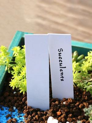 100Pcs Waterproof Plastic Plant Tags Garden Plant Labels Nursery Markers Flower Pots Seedling Labels Tray Garden Tools 10*2cm