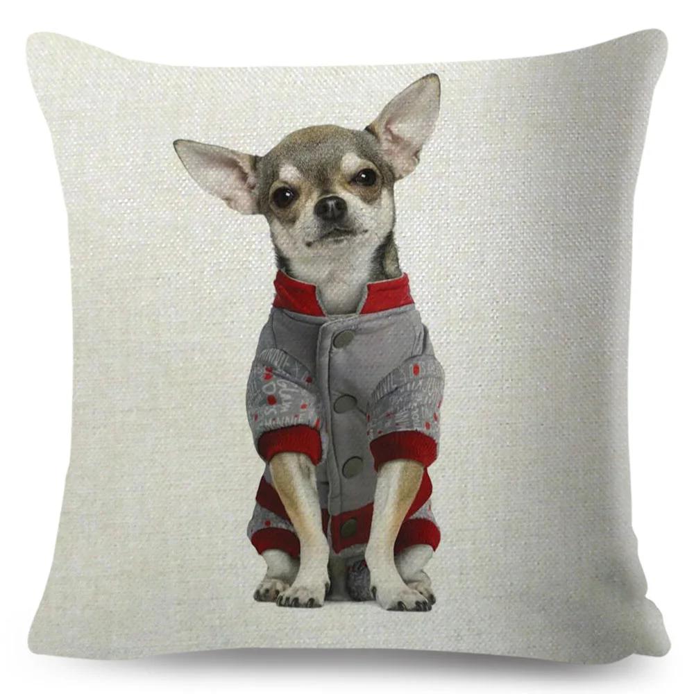 Niedlicher Kleiner Hund Chihuahua Kissenbezug Deko Liebes Haustier Tier Kissenbezug Polyester Überwurf Kissenbezug für Sofa Zuhause Auto 45x45cm