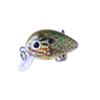 5pcs Fishing Lure Mini Crankbait Floating Wobbler Fishing Hook Set with Fishing Tackle Box