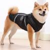 Ropa y calzado – Abrigos y chaquetas para perro