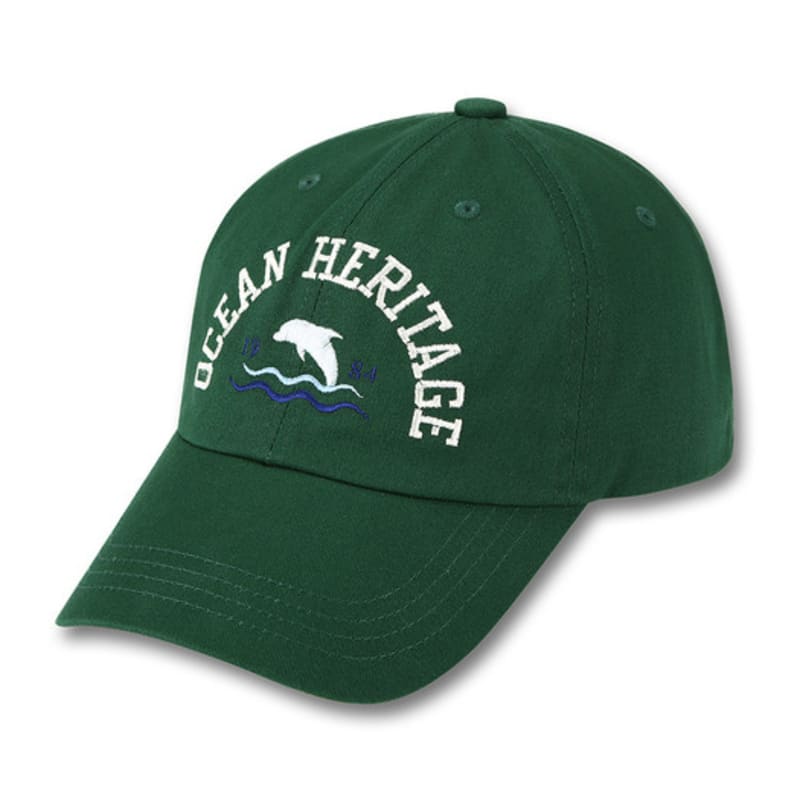 DOLPHIN WAVE APPAREL Ocean Heritage Dolphin Ball Cap_123825DN