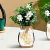 Glas Hydroponisk Blomkruka Transparent Växtförökningsstation Glasväxtkruka Vattenväxt