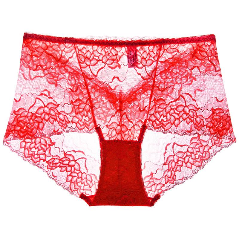 Women's High Waist Lace Boxer Briefs Sheer Mesh Sexy Underwear Breathable Multicolor Panties