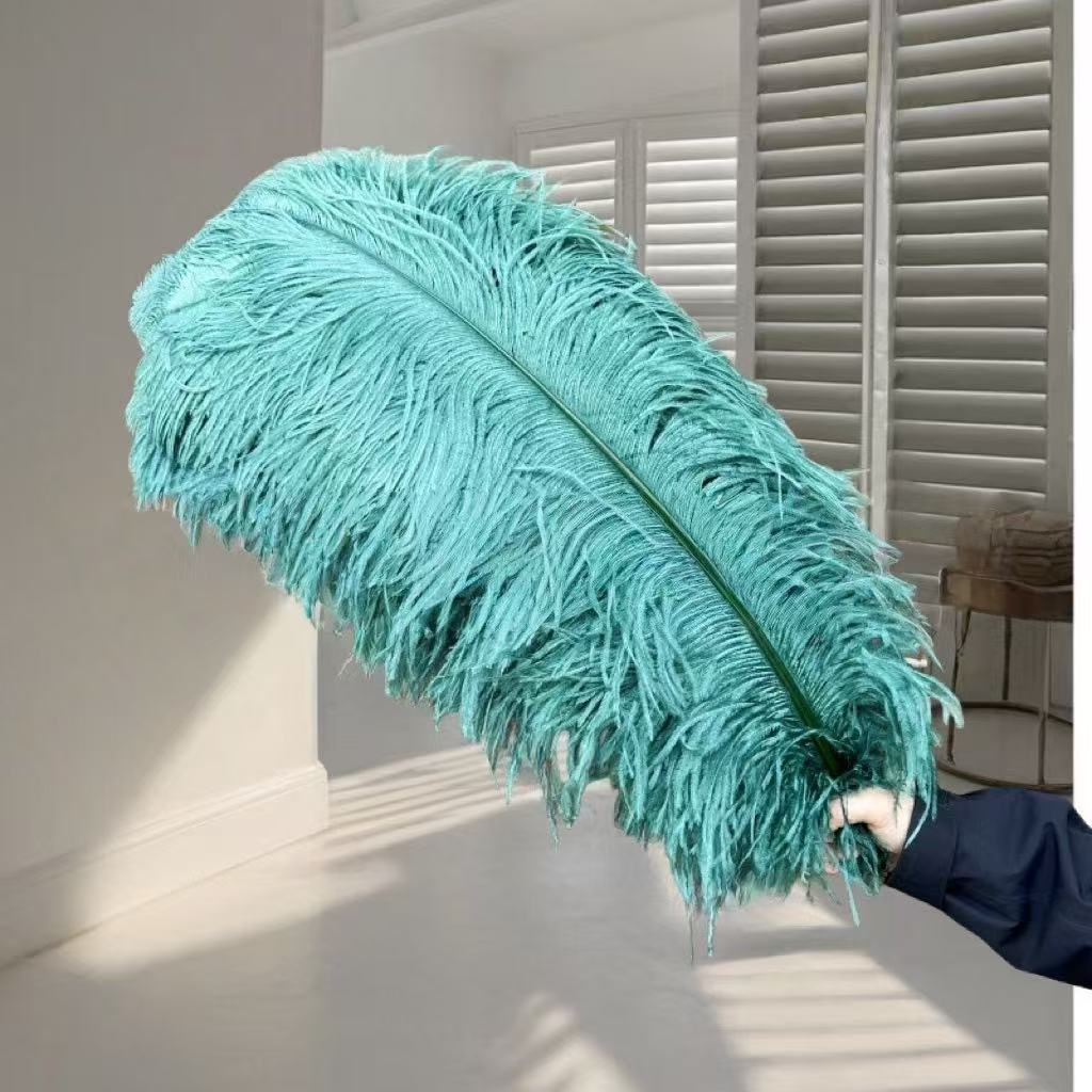

Ostrich Hair 65-70Cm Photo Feather Wall Wedding Road Guide Decorative Props Colored Feathers