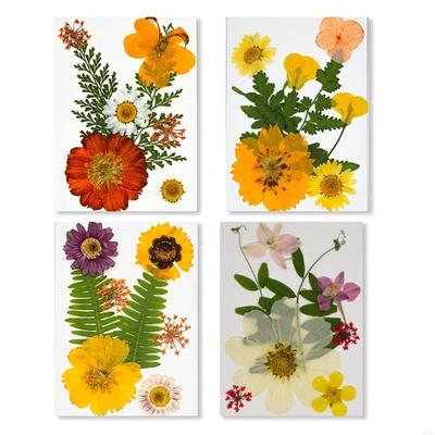 Elegant Natural Pressed Flower 32 Pieces 4 Pack Materials Dried Florals For Resin Art Jewelry Making Projects A0KF