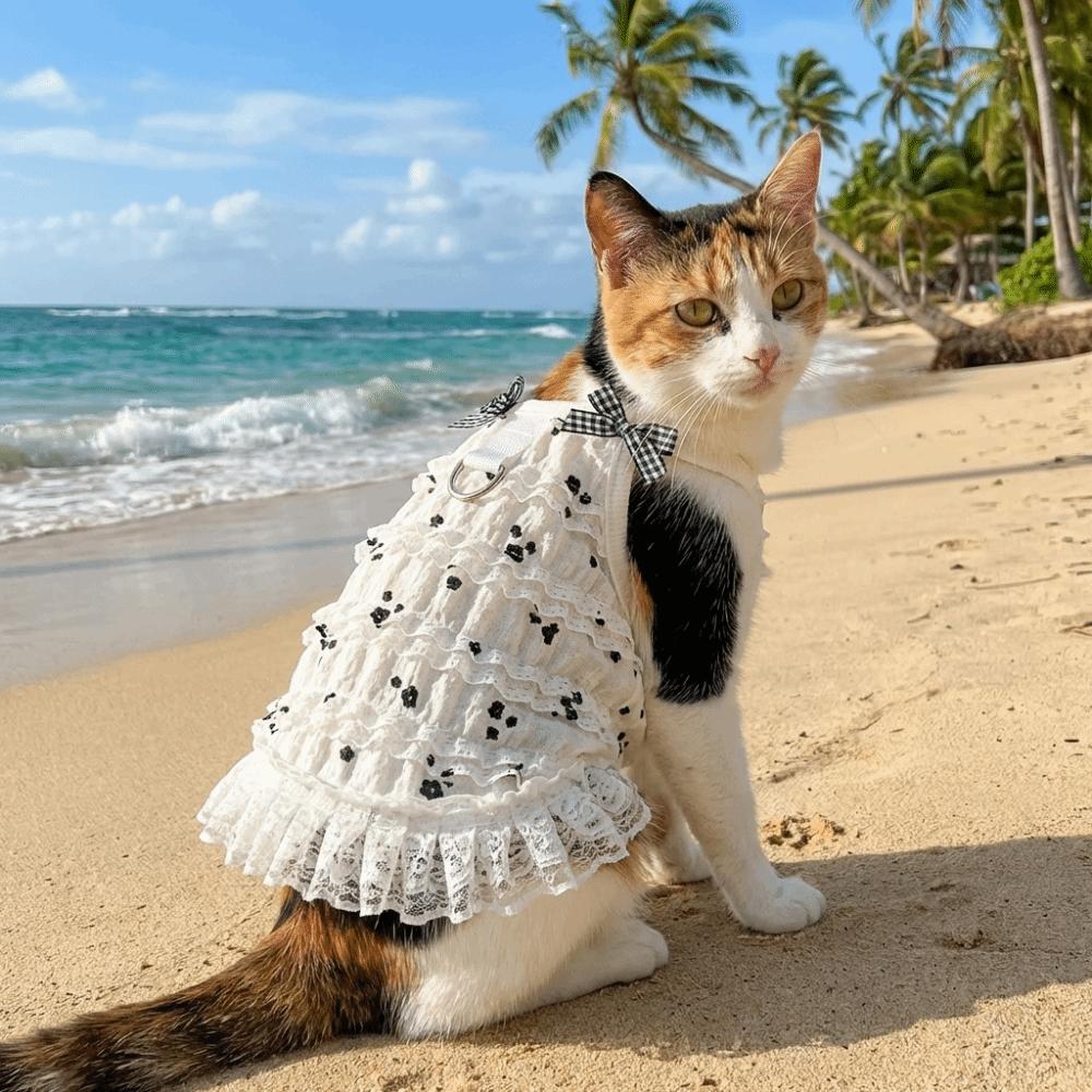 Lace Bowknot Pet Princess Dress Frilly Skirt Cat Suspenders Vest  Spring Season