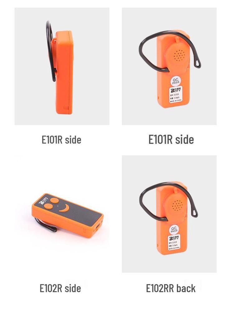 Bisite Tour Guide Multi Explainer Earphones